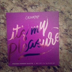 Colourpop It's My Pleasure Palette and E4 Brush